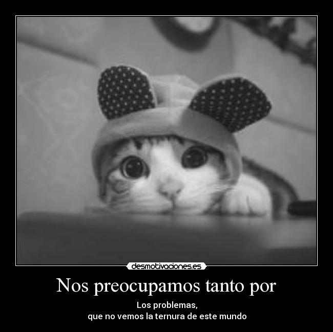 Nos preocupamos tanto por - 