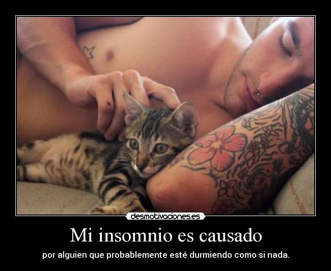 Mi insomnio es causado - 
