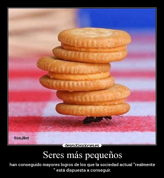 Seres más pequeños - han conseguido mayores logros de los que la sociedad actual realmente
 está dispuesta a conseguir.