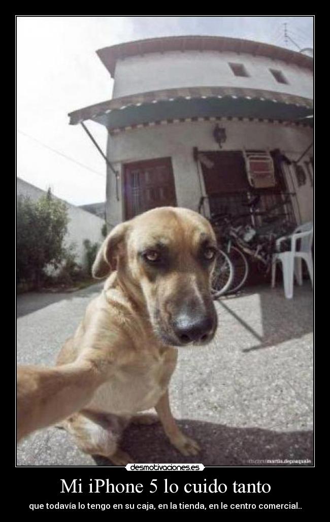 Mi iPhone 5 lo cuido tanto - que todavía lo tengo en su caja, en la tienda, en le centro comercial..