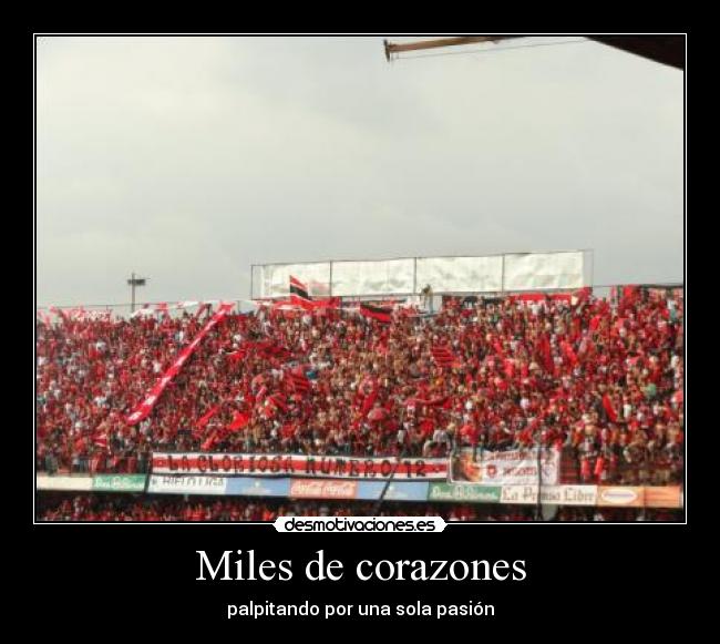 Miles de corazones - 