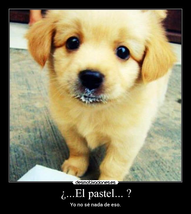 ¿...El pastel... ? - 