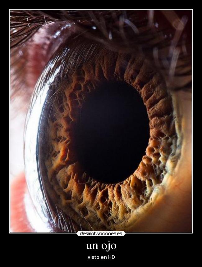 un ojo - visto en HD