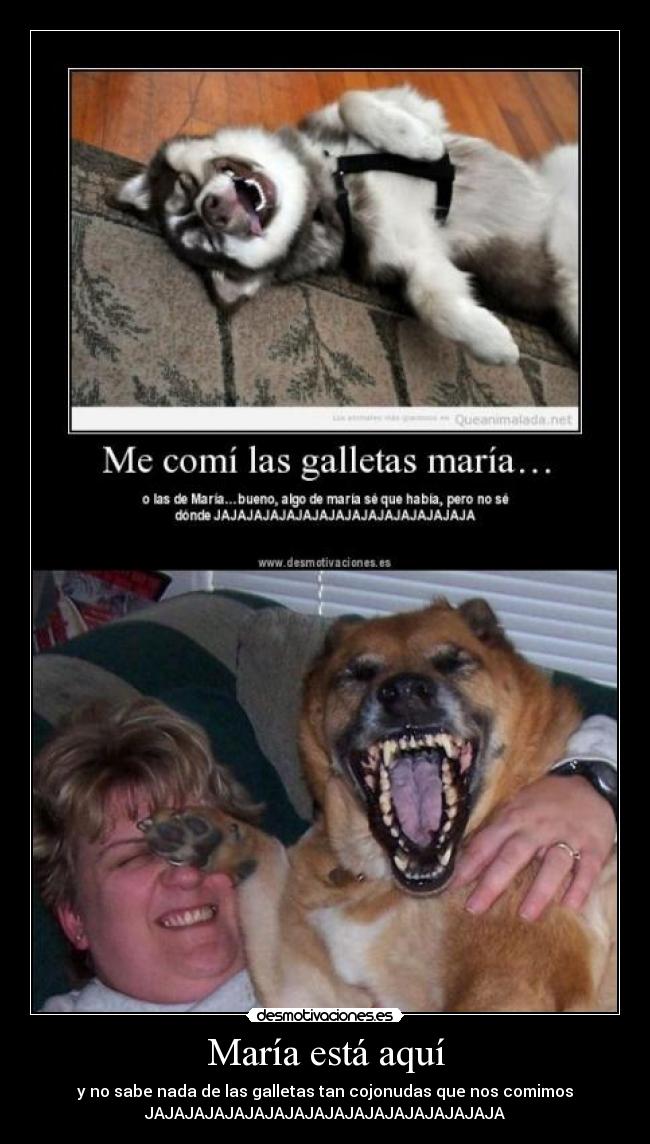 María está aquí -