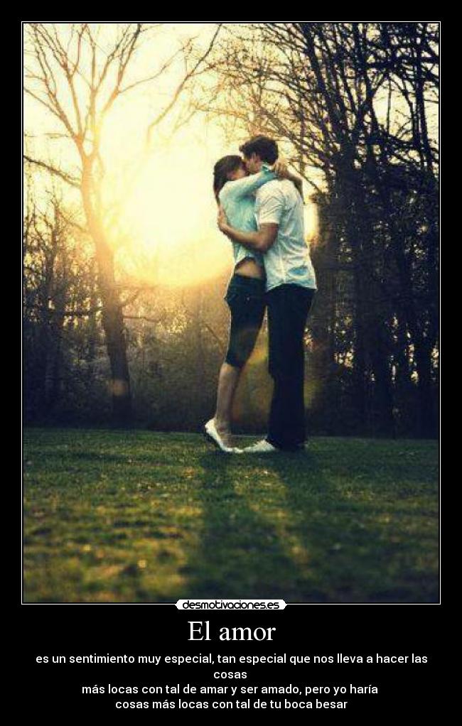 El amor -