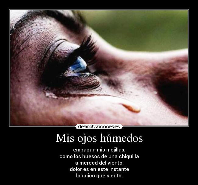 Mis ojos húmedos - empapan mis mejillas,
como los huesos de una chiquilla
a merced del viento,
dolor es en este instante
lo único que siento.