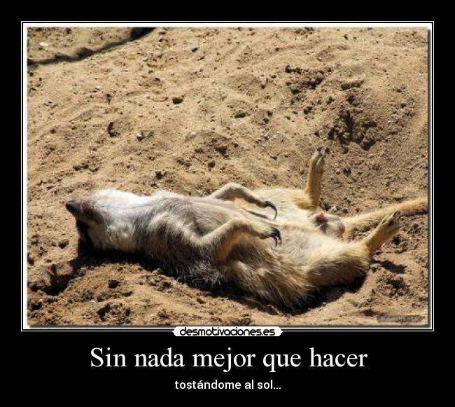 Sin nada mejor que hacer -