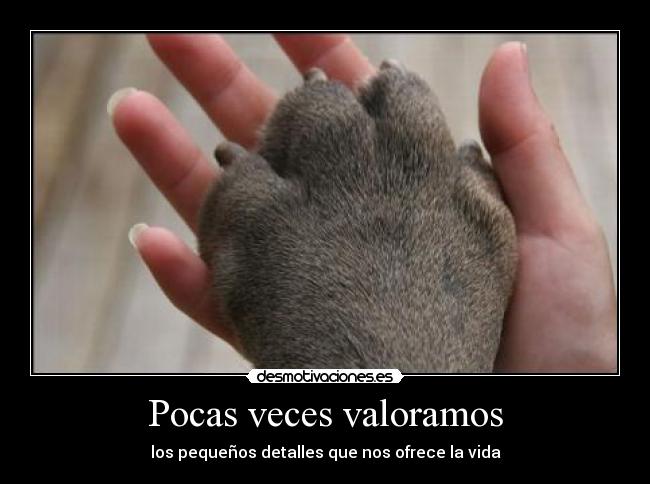 Pocas veces valoramos - 