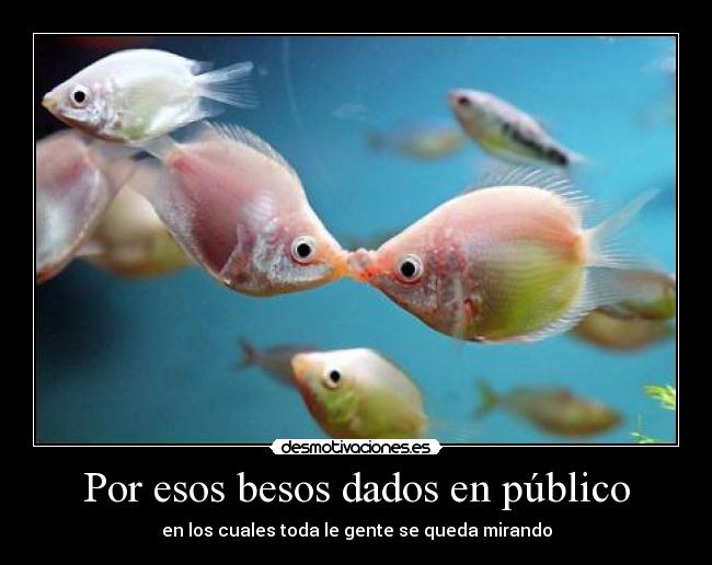Por esos besos dados en público - en los cuales toda le gente se queda mirando