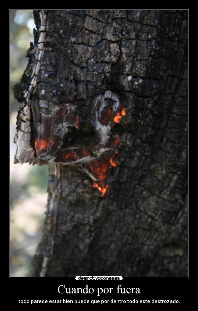Cuando por fuera - todo parece estar bien puede que por dentro todo este destrozado.