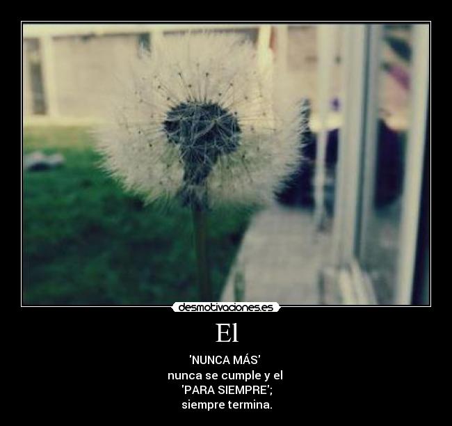 El - NUNCA MÁS 
nunca se cumple y el 
PARA SIEMPRE;
siempre termina.