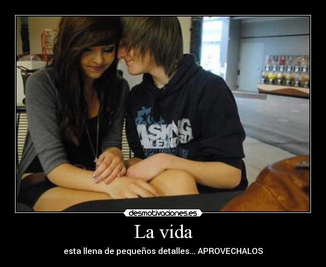 La vida - esta llena de pequeños detalles... APROVECHALOS