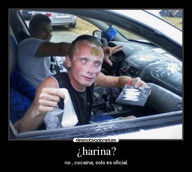 ¿harina? - no , cocaína, solo es oficial.