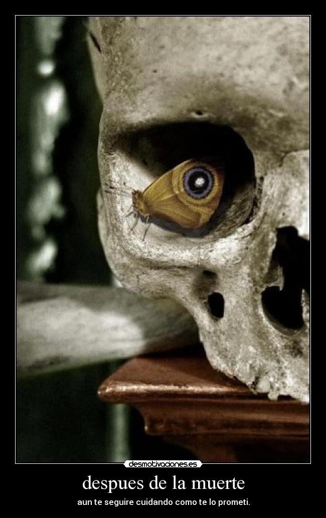 despues de la muerte -