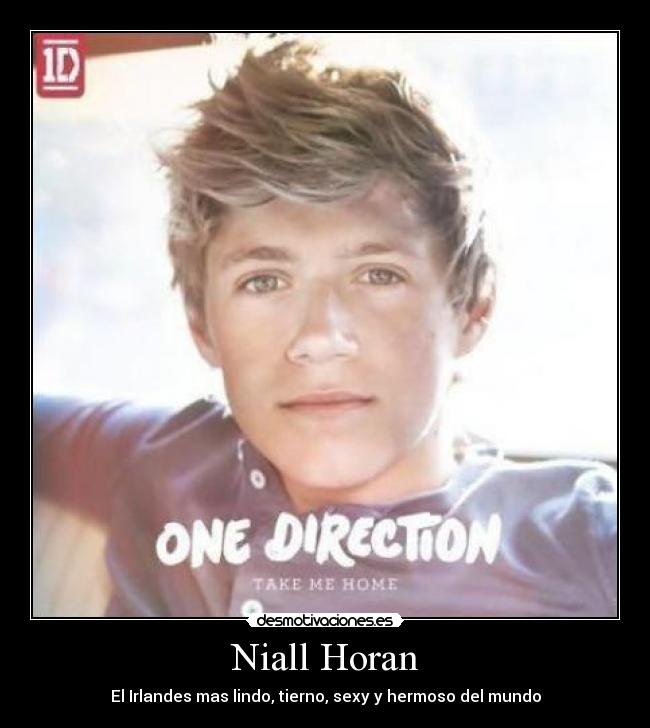 Niall Horan - El Irlandes mas lindo, tierno, sexy y hermoso del mundo