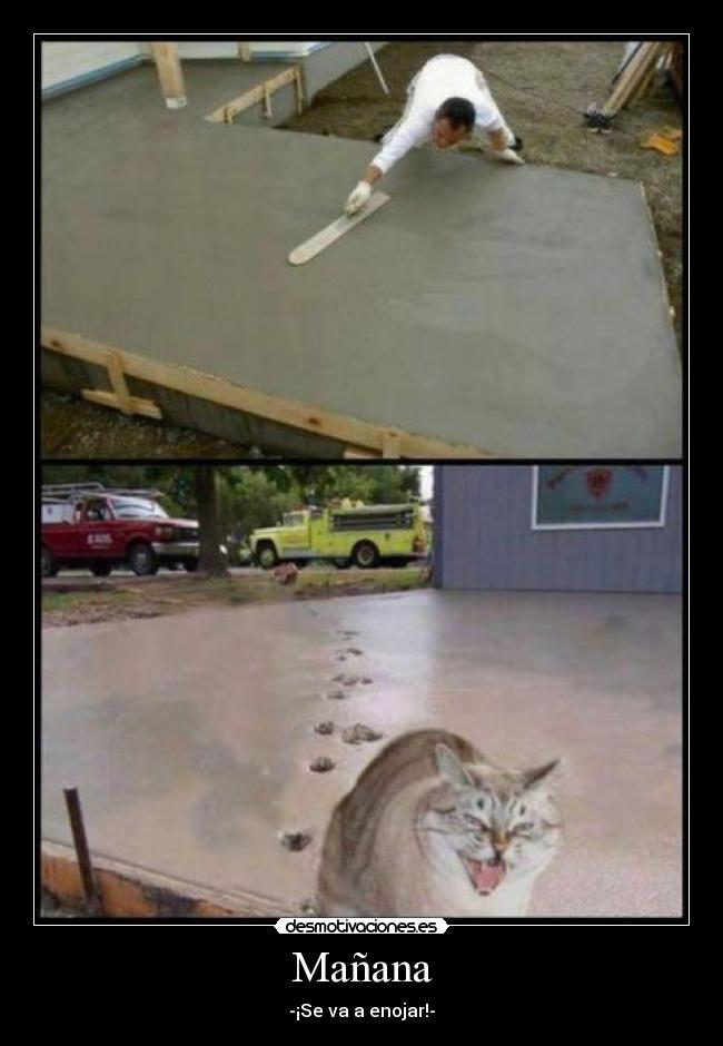 Mañana - -¡Se va a enojar!-