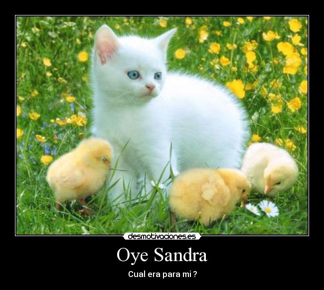 Oye Sandra - Cual era para mi ?