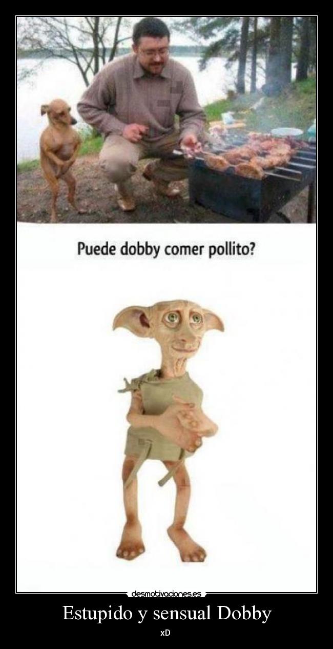 Estupido y sensual Dobby - xD ♥