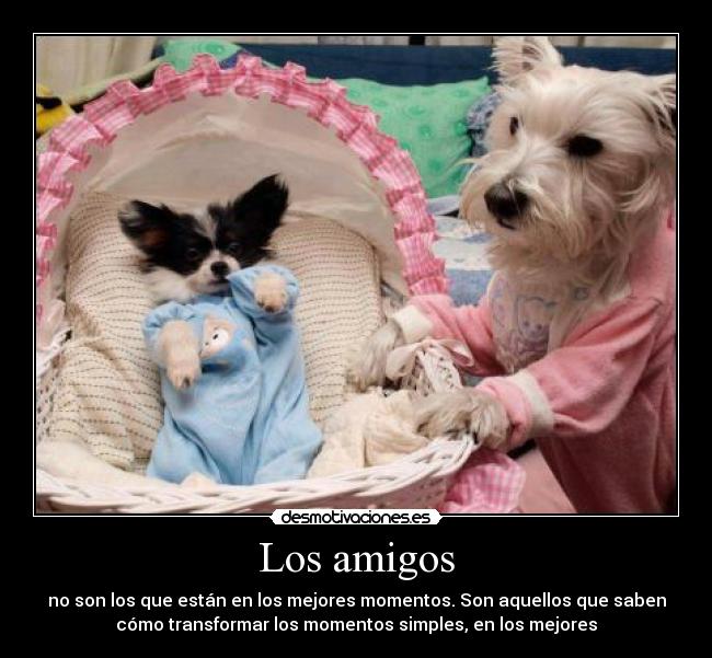 Los amigos - no son los que están en los mejores momentos. Son aquellos que saben
cómo transformar los momentos simples, en los mejores