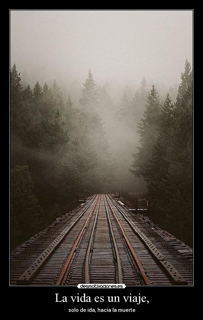 La vida es un viaje, -