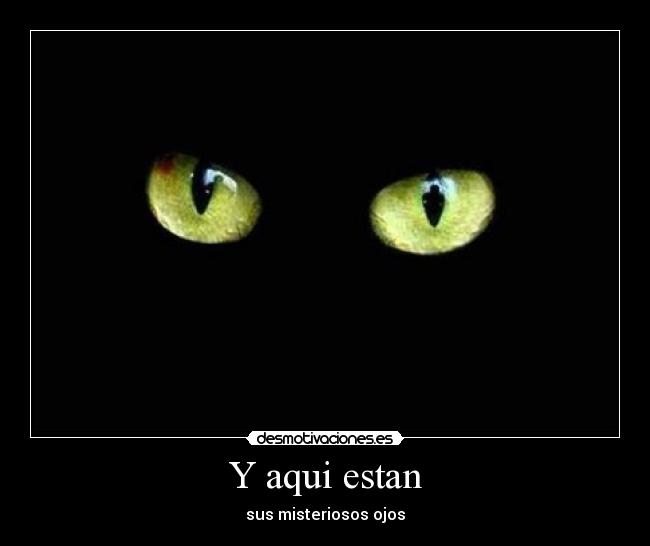 Y aqui estan -