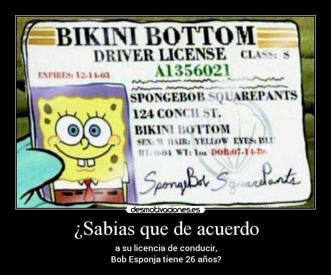 carteles bob esponja desmotivaciones