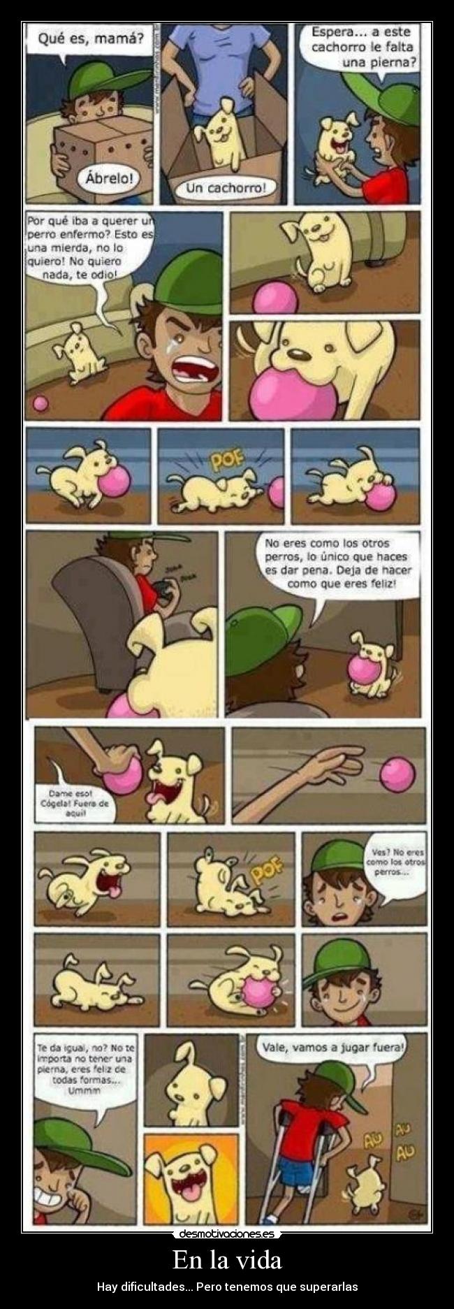 carteles vida vida desmotivaciones