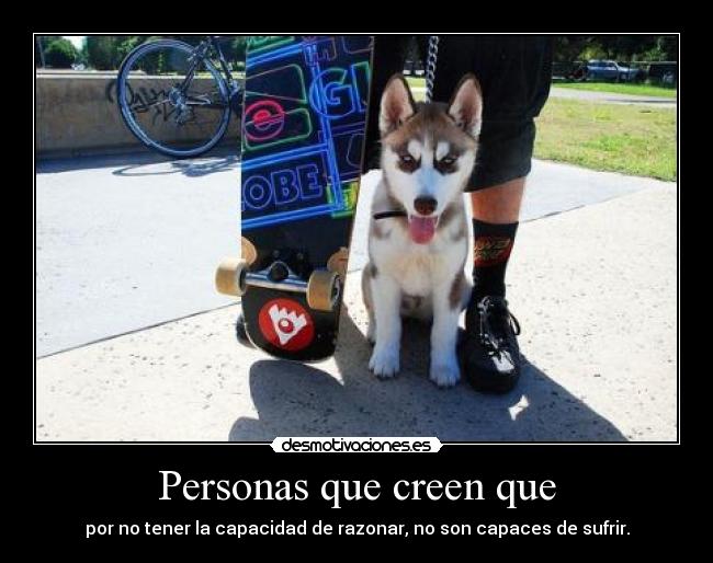 Personas que creen que - 