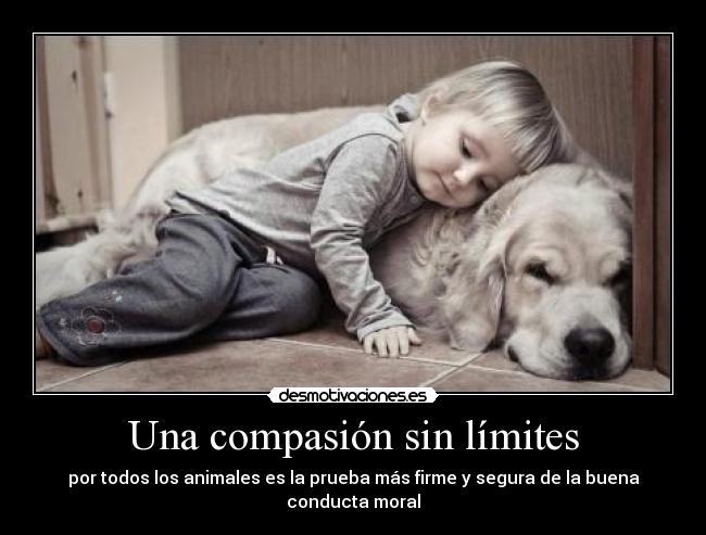 carteles lupuz desmotivaciones