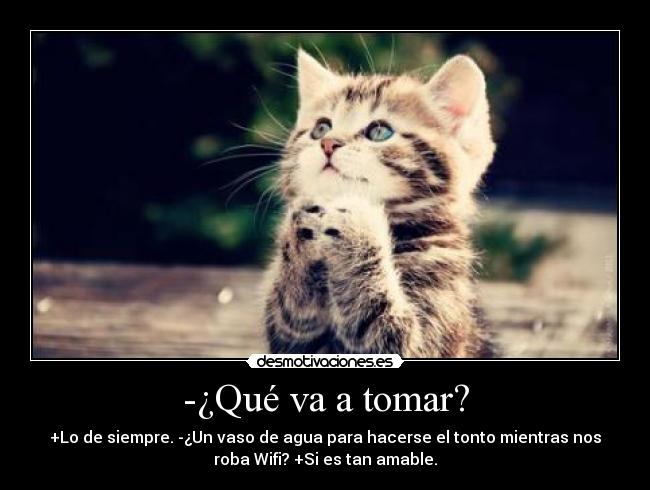 carteles wifi desmotivaciones