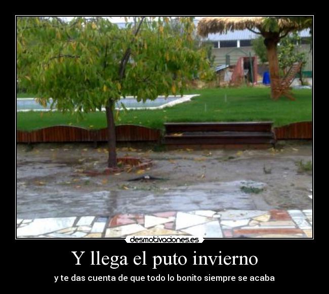 carteles waltk desmotivaciones