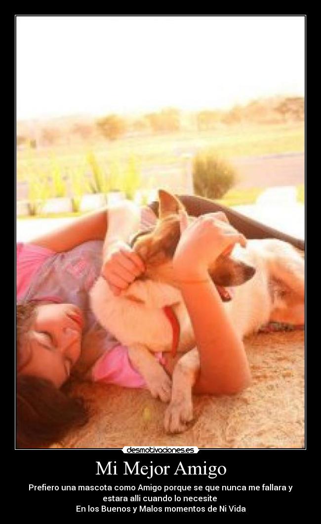 Mi Mejor Amigo - Prefiero una mascota como Amigo porque se que nunca me fallara y
estara alli cuando lo necesite 
En los Buenos y Malos momentos de Ni Vida