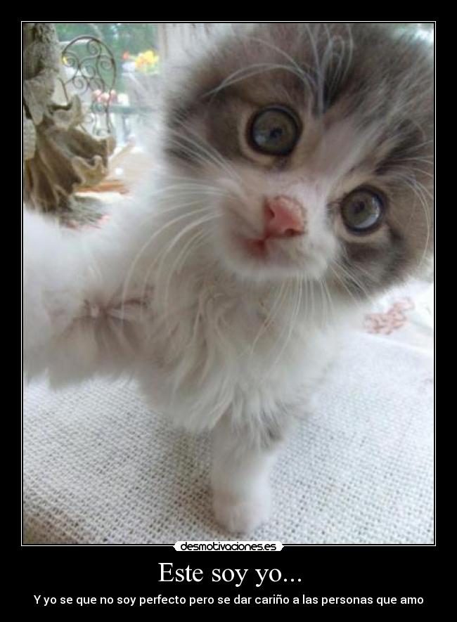 carteles amor desmotivaciones