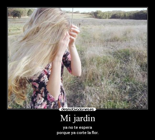 carteles ntvg desmotivaciones