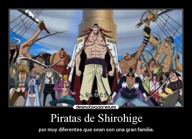 Piratas de Shirohige - por muy diferentes que sean son una gran familia.