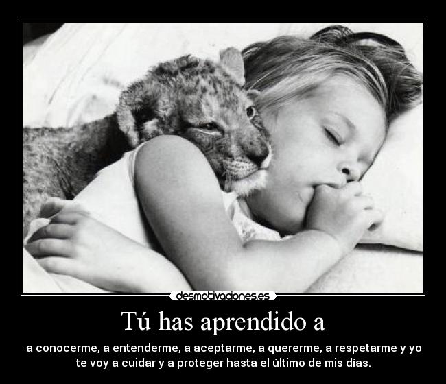 carteles tu has aprendido desmotivaciones