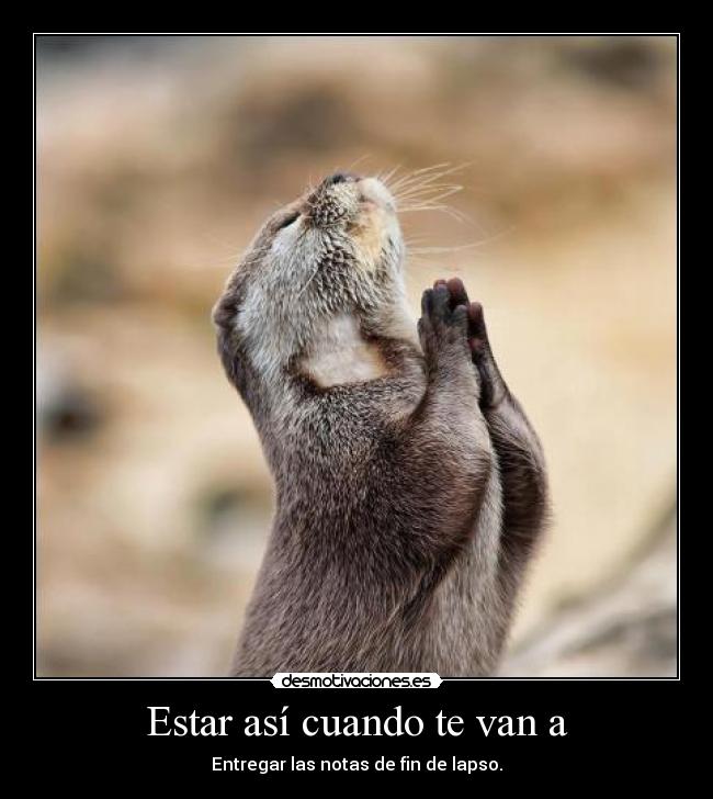 carteles sudokufreddy desmotivaciones