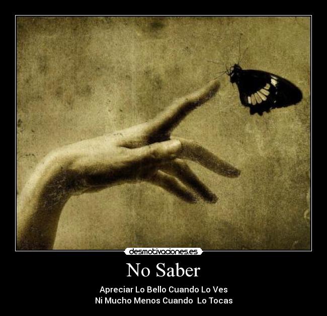 No Saber - Apreciar Lo Bello Cuando Lo Ves
Ni Mucho Menos Cuando Lo Tocas