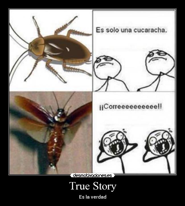 True Story - Es la verdad
