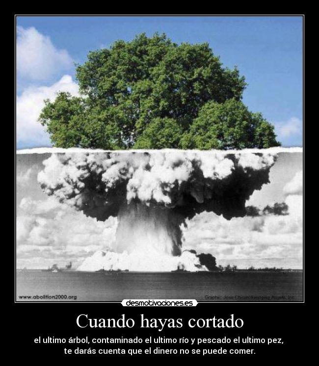 Cuando hayas cortado - el ultimo árbol, contaminado el ultimo río y pescado el ultimo pez,
te darás cuenta que el dinero no se puede comer.