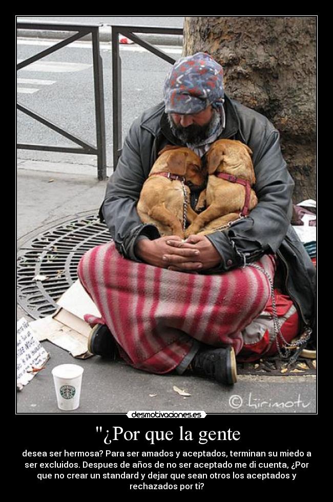 carteles cierto desmotivaciones