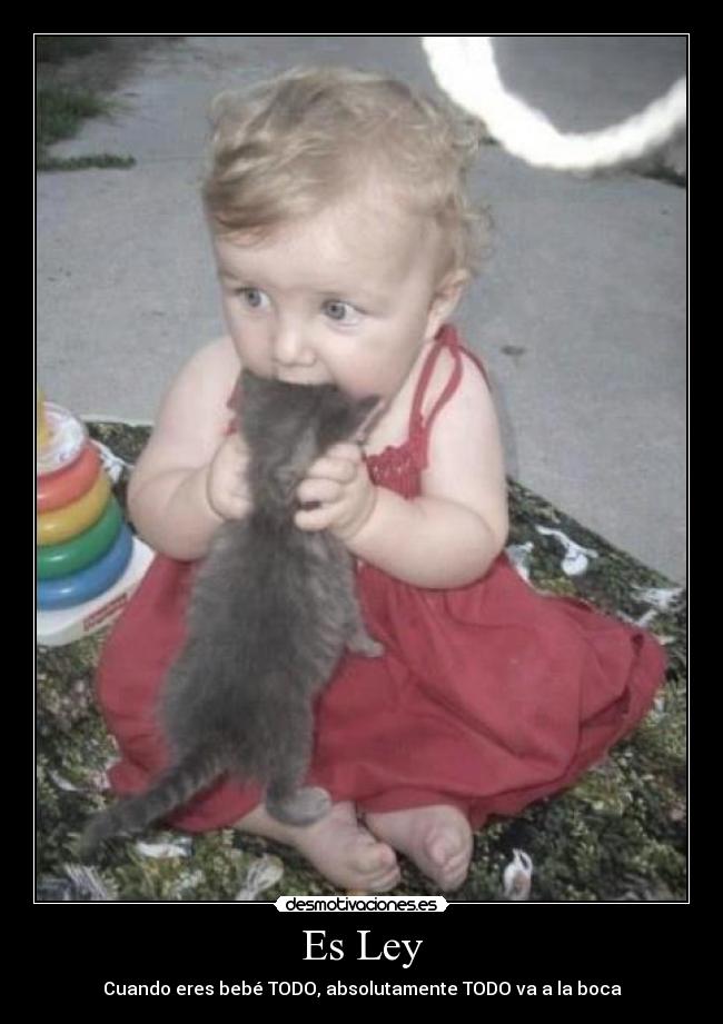 Es Ley - Cuando eres bebé TODO, absolutamente TODO va a la boca
