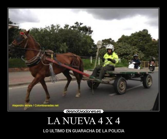 carteles ultimo desmotivaciones