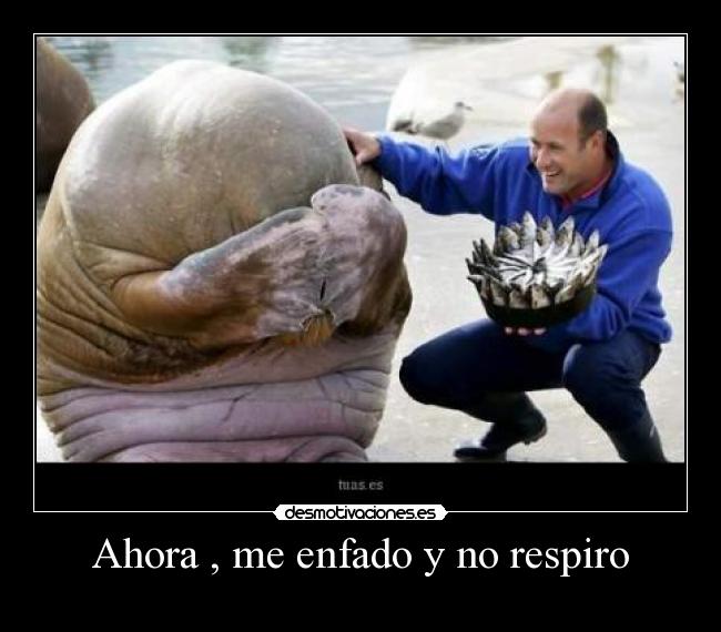 Ahora , me enfado y no respiro -
