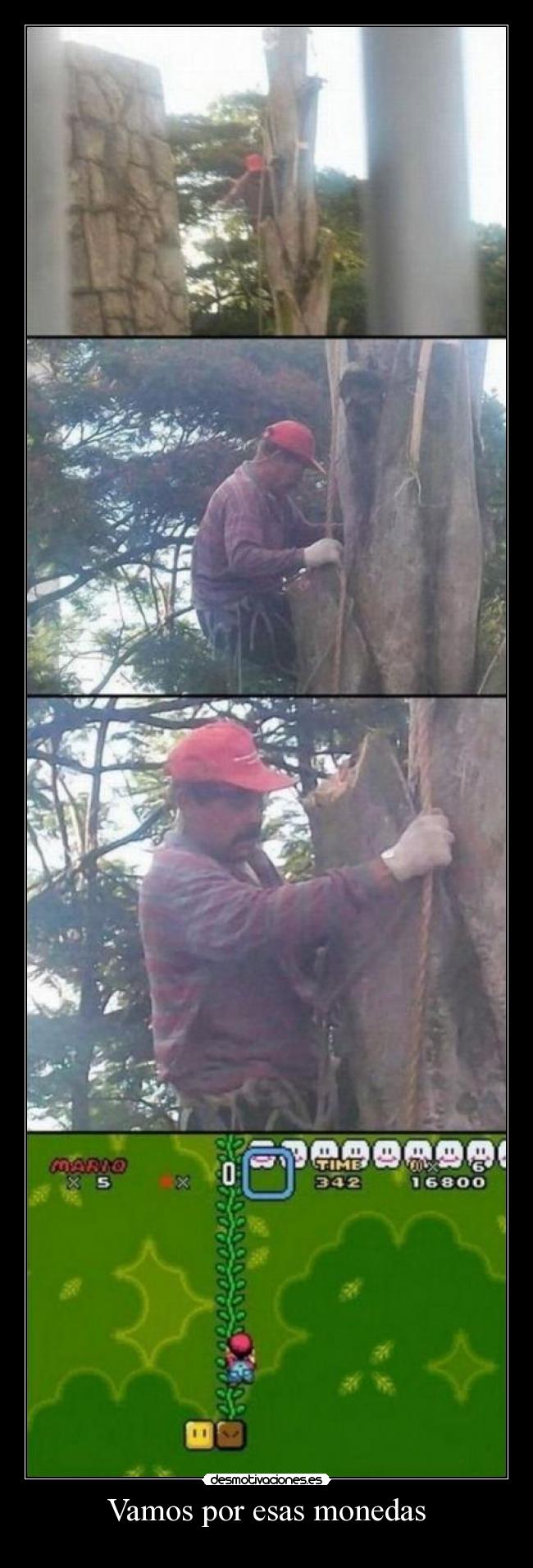 Vamos por esas monedas - 