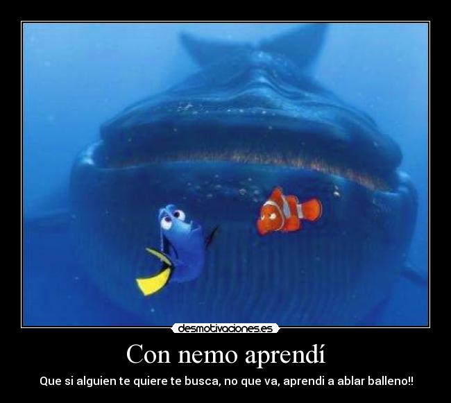 Con nemo aprendí -