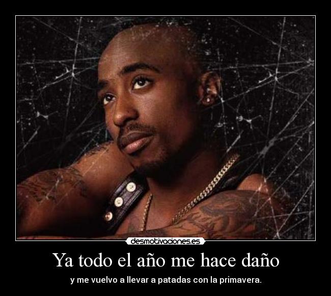 Ya todo el año me hace daño - 