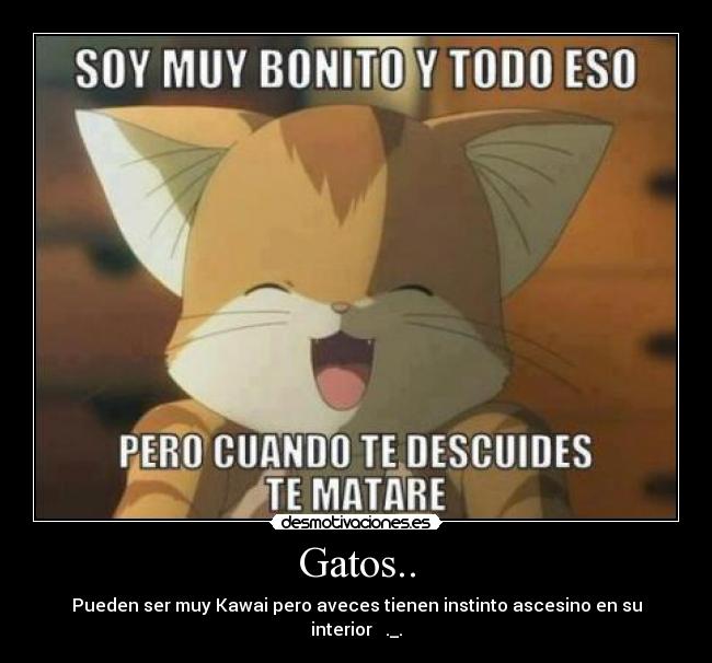 Gatos.. - Pueden ser muy Kawai pero aveces tienen instinto ascesino en su interior ._.