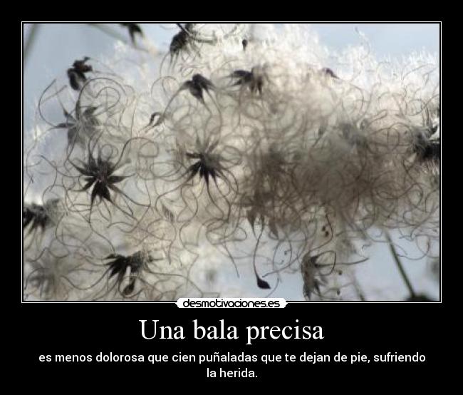 Una bala precisa - es menos dolorosa que cien puñaladas que te dejan de pie, sufriendo la herida.
