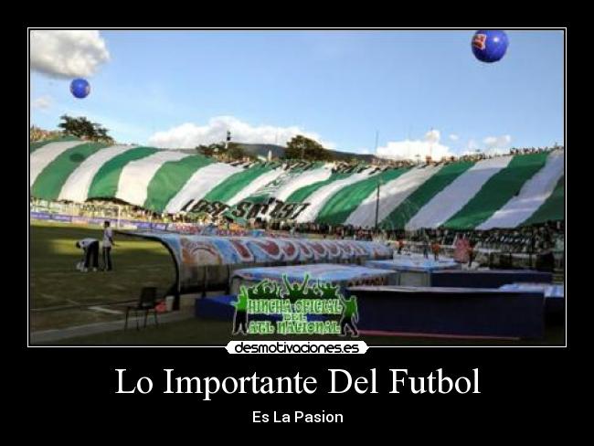 Lo Importante Del Futbol - Es La Pasion